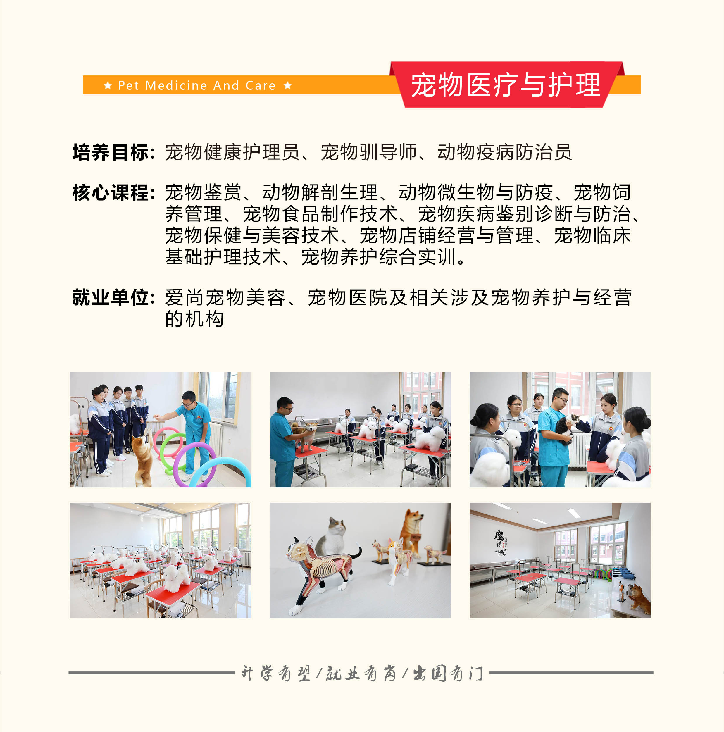 2.5宠物医疗与护理 拷贝.jpg