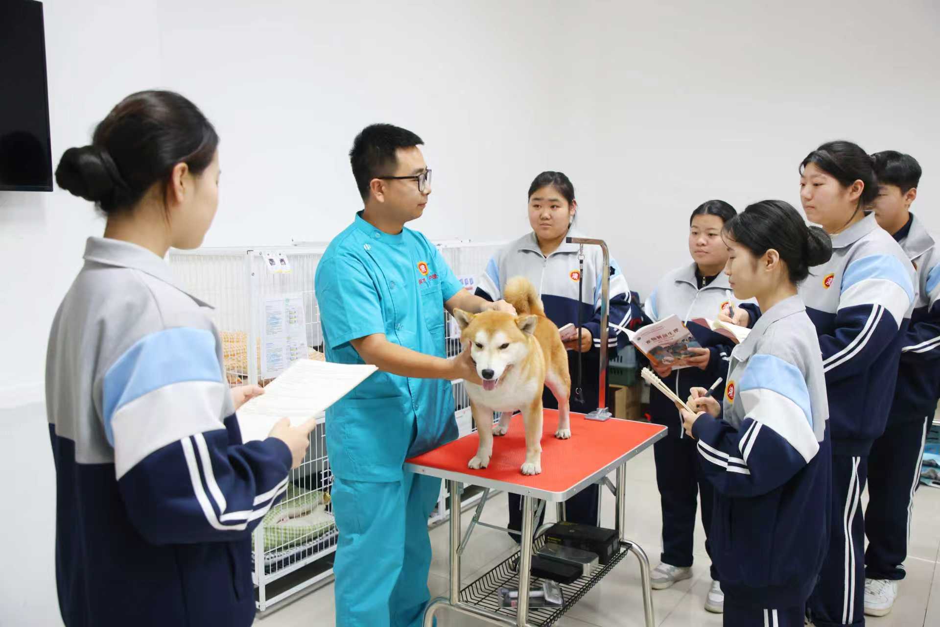 微信图片_20251106090551_7079_205.jpg